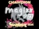 Sticker | magixx (Champion) | Shanghai 2024 CS2 skin