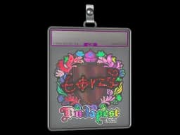 Sticker Slab | torzsi (Holo) | Budapest 2025