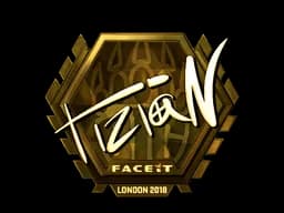 tiziaN - CS2 Skin Prices