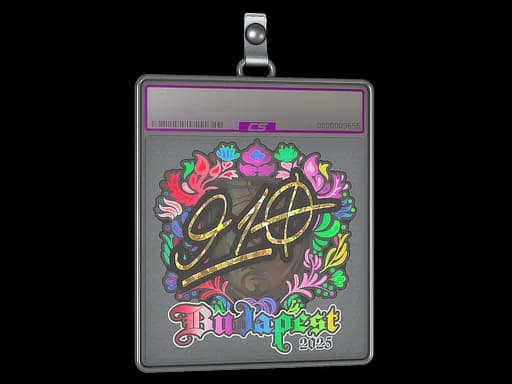 Sticker Slab | 910 (Holo) | Budapest 2025
