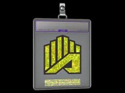 Sticker Slab | AMKAL ESPORTS (Glitter) | Copenhagen 2024