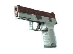 P250 | Copper Oxide (Minimal Wear)