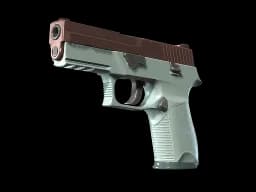 P250 | Copper Oxide (Minimal Wear)