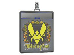 Sticker Slab | Vitality | Budapest 2025