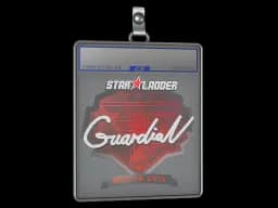 Sticker Slab | GuardiaN | Berlin 2019