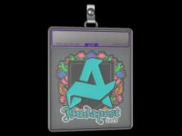 Sticker Slab | Aurora (Embroidered) | Budapest 2025