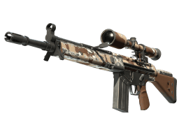 G3SG1 | Desert Storm (Field-Tested)