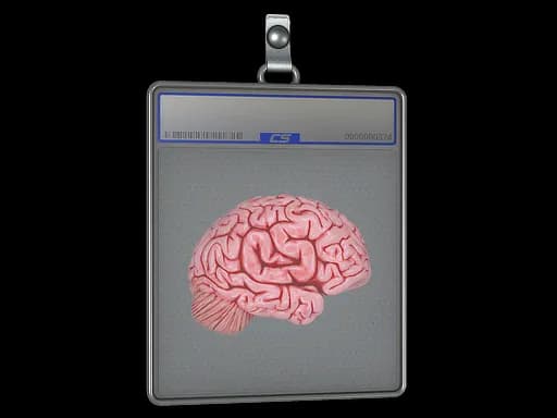 Sticker Slab | CS On The Mind