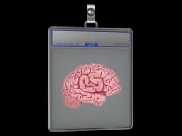 Sticker Slab | CS On The Mind