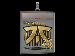 Sticker Slab | Fnatic (Gold) | 2020 RMR