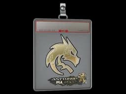 Sticker Slab | Team Spirit (Gold) | Antwerp 2022