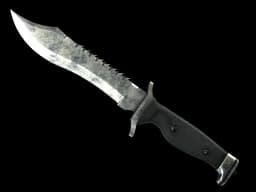 ★ Bowie Knife | Stained CS2 skin