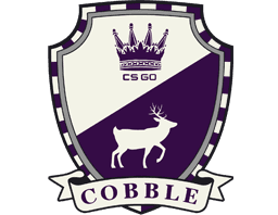 The Cobblestone Collection - CS2 Collection Prices