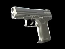 P2000 | Silver (Minimal Wear)