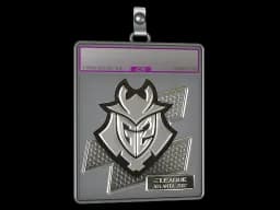 Sticker Slab | G2 Esports (Foil) | Atlanta 2017