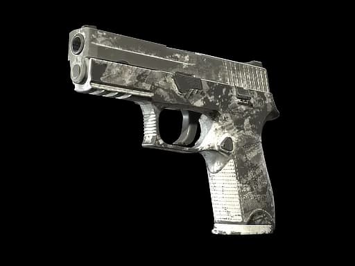 P250 | Sleet (Battle-Scarred)