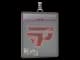 Sticker Slab | paiN Gaming | Paris 2023 CS2 skin