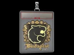 Sticker Slab | FURIA (Gold) | Budapest 2025