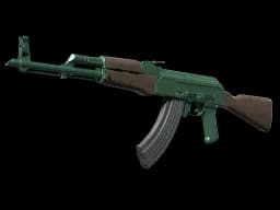 AK-47 | Wintergreen CS2 skin
