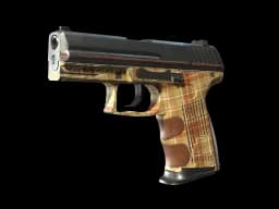 P2000 | Coach Class CS2 skin