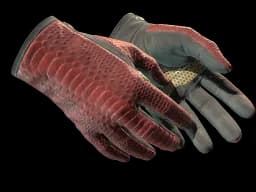 ★ Driver Gloves | Dragon Fists (Minimal Wear)