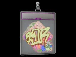 Sticker Slab | sk0R (Holo) | Rio 2022