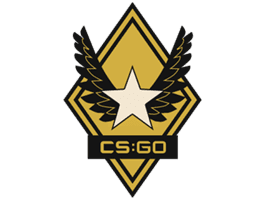 The Winter Offensive Collection - CS2 Collection Prices