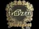 Sticker | frozen (Gold) | Budapest 2025 CS2 skin