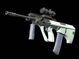 Souvenir AUG | Storm (Well-Worn)