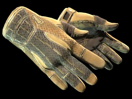 ★ Sport Gloves | Arid (Field-Tested)