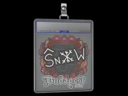 Sticker Slab | snow | Budapest 2025