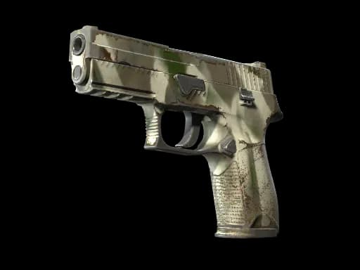 P250 | Bone Mask (Well-Worn)