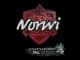 Sticker | Norwi | Antwerp 2022 CS2 skin