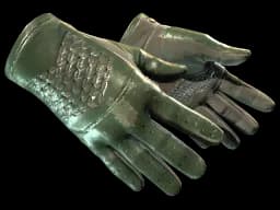 ★ Driver Gloves | Racing Green (Well-Worn)