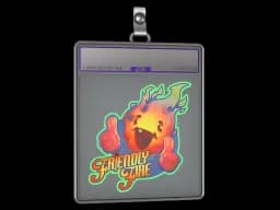 Sticker Slab | Friendly Fire (Holo)