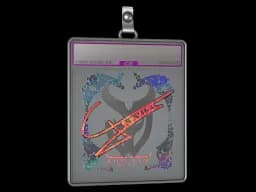 Sticker Slab | Graviti (Holo) | Austin 2025