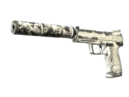 USP-S | Whiteout (Battle-Scarred)