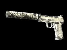 USP-S | Whiteout CS2 skin