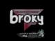 Sticker | broky | Antwerp 2022 CS2 skin