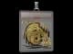Sticker Slab | North (Gold) | 2020 RMR CS2 skin