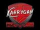 Sticker | karrigan | Krakow 2017 CS2 skin