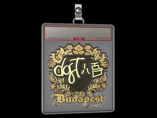 Sticker Slab | dgt (Gold) | Budapest 2025