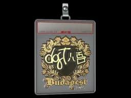 Sticker Slab | dgt (Gold) | Budapest 2025