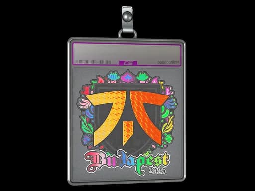 Sticker Slab | fnatic (Holo) | Budapest 2025