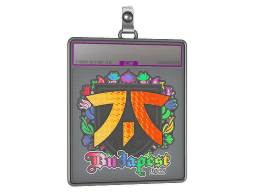 Sticker Slab | fnatic (Holo) | Budapest 2025