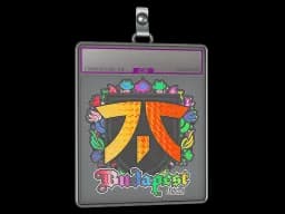 Sticker Slab | fnatic (Holo) | Budapest 2025