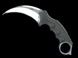 ★ StatTrak™ Karambit | Stained (Factory New)