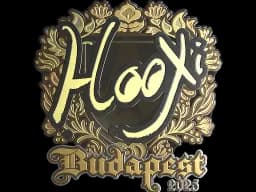 Sticker | HooXi (Gold) | Budapest 2025