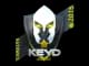 Sticker | Keyd Stars | Katowice 2015 CS2 skin