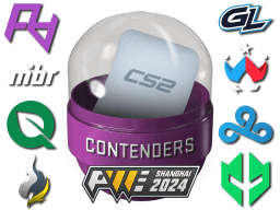 Shanghai 2024 Contenders Sticker Capsule